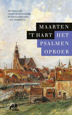 Cover of the book Het psalmenoproer by J. Bernlef