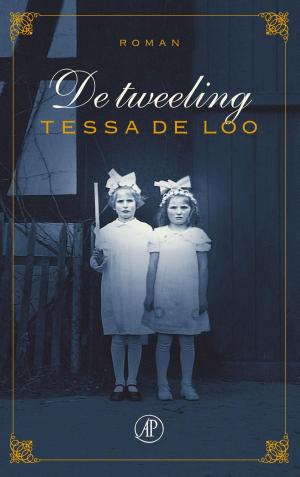 Cover of the book De tweeling by Daniel Klein