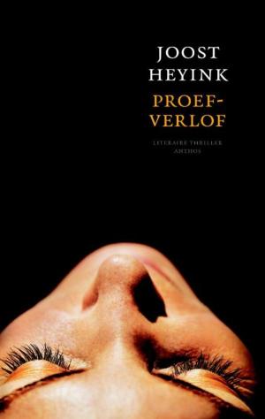 Cover of the book Proefverlof by Jamie White