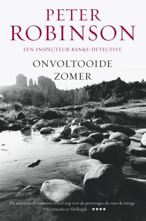 Cover of the book Onvoltooide zomer by Åke Edwardson