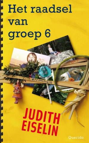 Cover of the book Het raadsel van groep 6 by Håkan Nesser