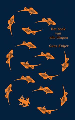 Cover of the book Het boek van alle dingen by Annejet van der Zijl