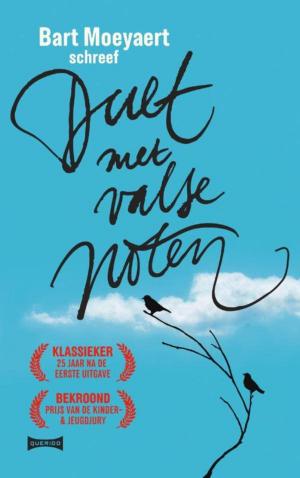 Cover of the book Duet met valse noten by Kristien Hemmerechts
