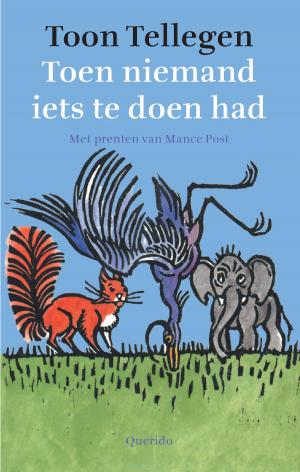 Cover of the book Toen niemand iets te doen had by Anna Woltz