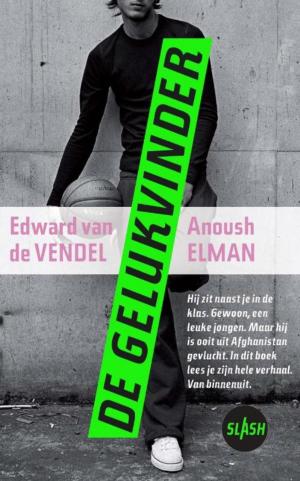 Cover of the book De gelukvinder by Wanda Bommer