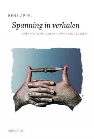 Cover of the book Spanning in verhalen by Charles Lewinsky