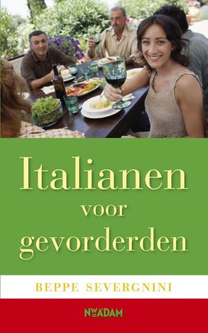 Cover of the book Italianen voor gevorderden by Ellen Rutten, Nina Targan Mouravi, Yegor Osipov-Gipsh, Lennard van Uffelen, Thaila Verkade