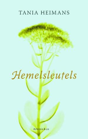 Book cover of Hemelsleutels
