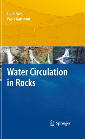 Cover of the book Water Circulation in Rocks by Mika Sillanpää, Thuy-Duong Pham, Reena Amatya Shrestha