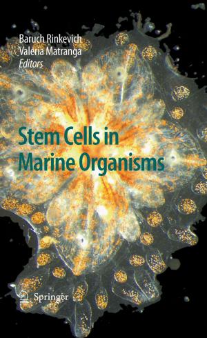 Cover of the book Stem Cells in Marine Organisms by Mary Ann Davis