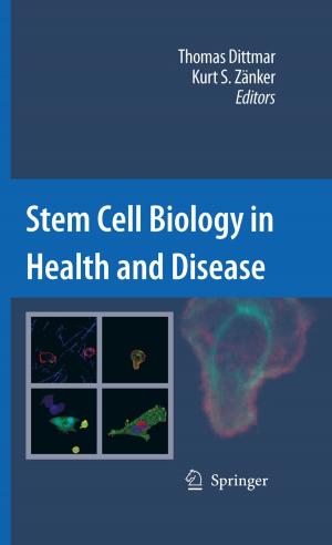 Cover of the book Stem Cell Biology in Health and Disease by Alexey Melkikh, Maria Sutormina