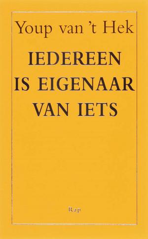 Cover of the book Iedereen is eigenaar van iets by Youp van 't Hek