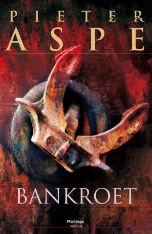 bigCover of the book Bankroet by 