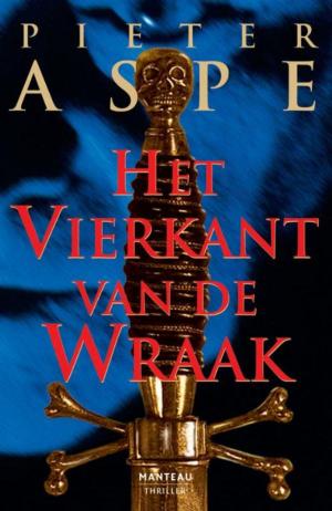 Cover of the book Het vierkant van de wraak by John Van Marke