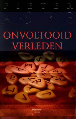 Cover of the book Onvoltooid verleden by Michael Slade