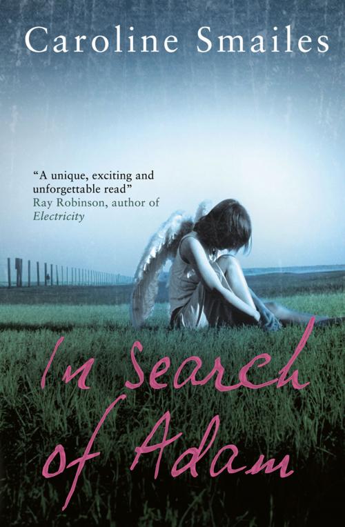 Cover of the book In Search of Adam by Caroline Smailes, HarperCollins Publishers