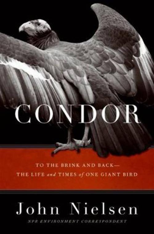 Cover of the book Condor by John Nielsen, HarperCollins e-books