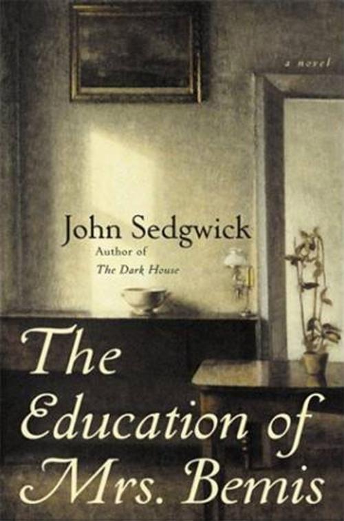 Cover of the book The Education of Mrs. Bemis by John Sedgwick, HarperCollins e-books