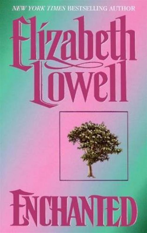 Cover of the book Enchanted by Elizabeth Lowell, HarperCollins e-books