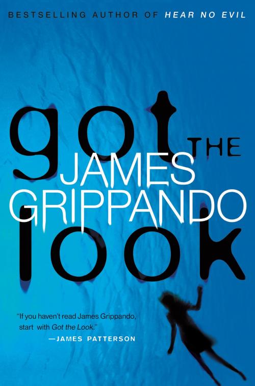 Cover of the book Got the Look by James Grippando, HarperCollins e-books