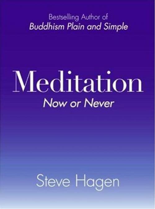 Cover of the book Meditation Now or Never by Steve Hagen, HarperOne