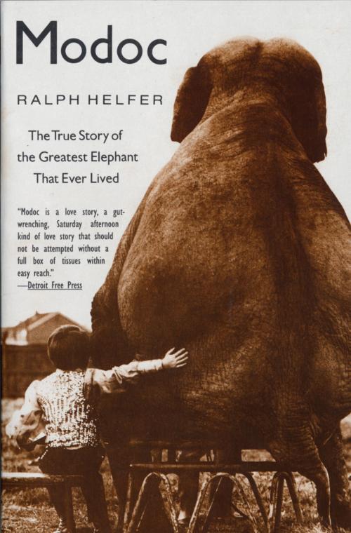 Cover of the book Modoc by Ralph Helfer, HarperCollins e-books