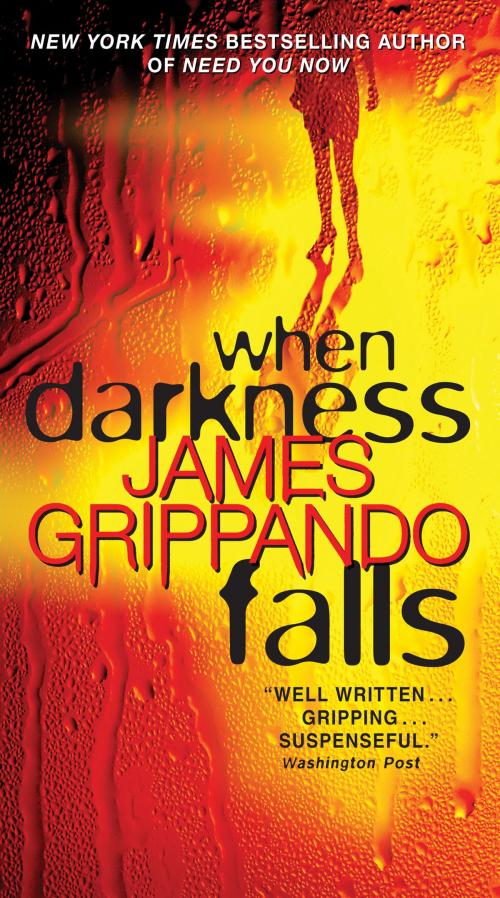 Cover of the book When Darkness Falls by James Grippando, HarperCollins e-books