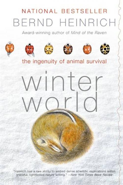 Cover of the book Winter World by Bernd Heinrich, HarperCollins e-books