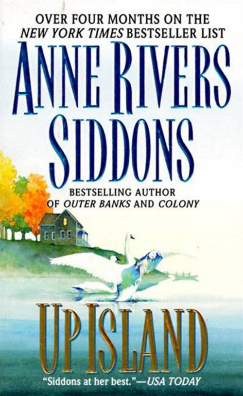 Cover of the book Up Island by Anne Rivers Siddons, HarperCollins e-books