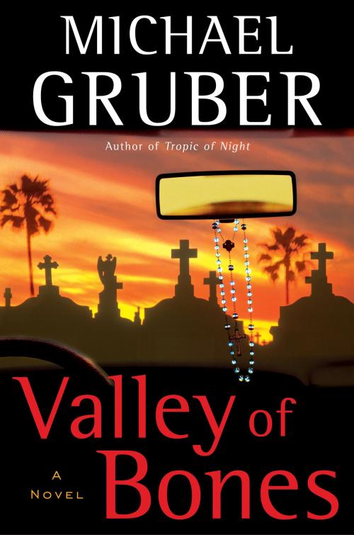 Cover of the book Valley of Bones by Michael Gruber, HarperCollins e-books