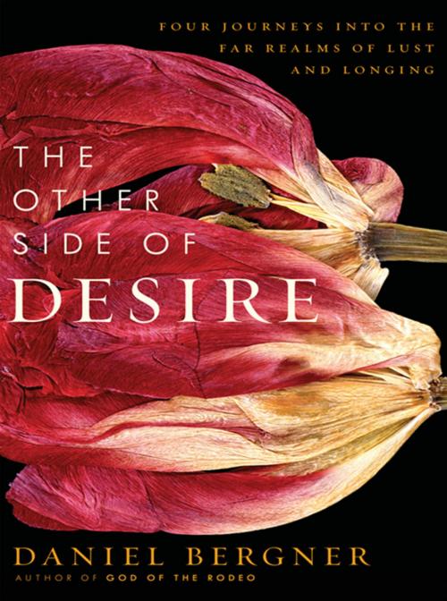 Cover of the book The Other Side of Desire by Daniel Bergner, HarperCollins e-books