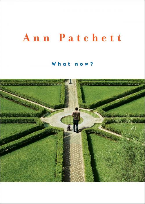 Cover of the book What Now? by Ann Patchett, HarperCollins e-books
