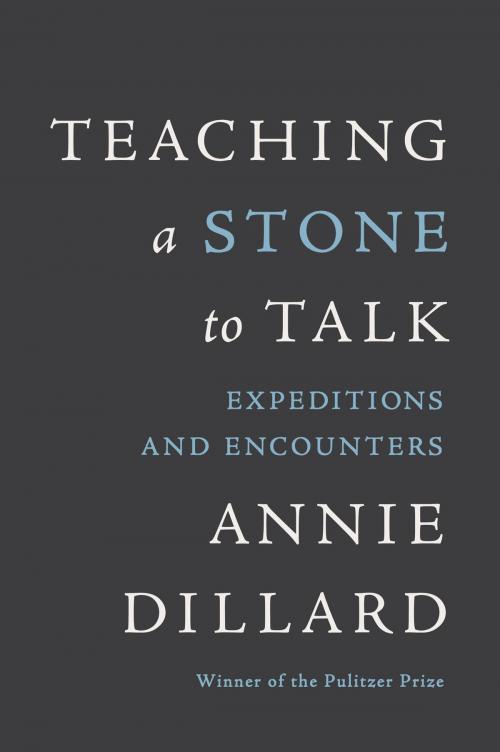 Cover of the book Teaching a Stone to Talk by Annie Dillard, HarperCollins e-books