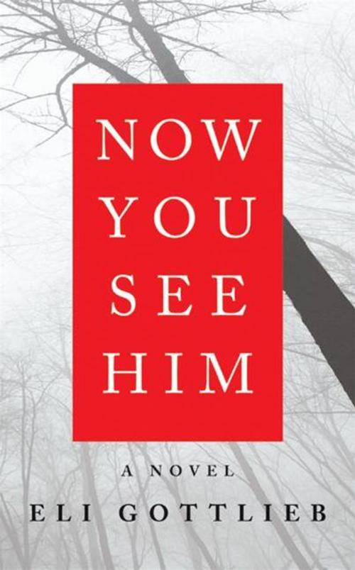 Cover of the book Now You See Him by Eli Gottlieb, HarperCollins e-books
