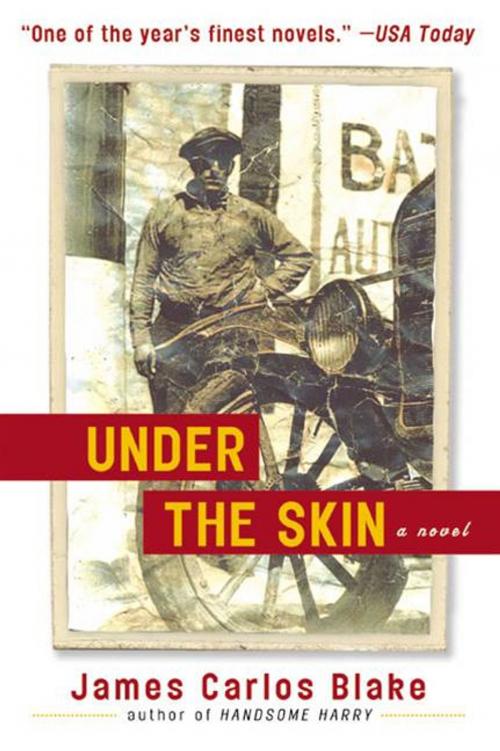 Cover of the book Under the Skin by James Carlos Blake, HarperCollins e-books