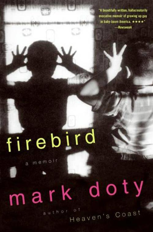 Cover of the book Firebird by Mark Doty, HarperCollins e-books