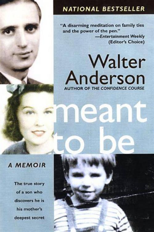 Cover of the book Meant To Be by Walter Anderson, HarperCollins e-books
