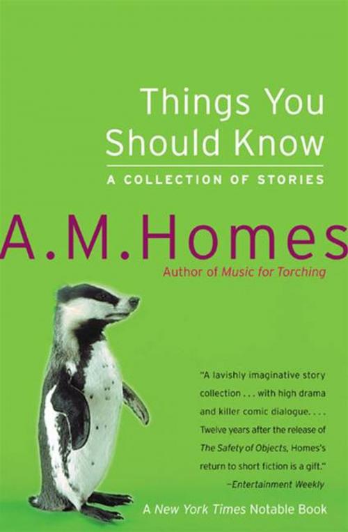 Cover of the book Things You Should Know by A M Homes, HarperCollins e-books