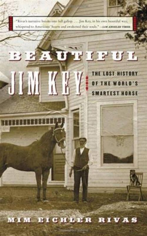 Cover of the book Beautiful Jim Key by Mim E Rivas, HarperCollins e-books