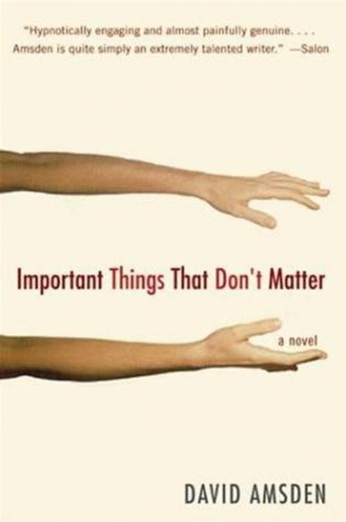 Cover of the book Important Things That Don't Matter by David Amsden, HarperCollins e-books