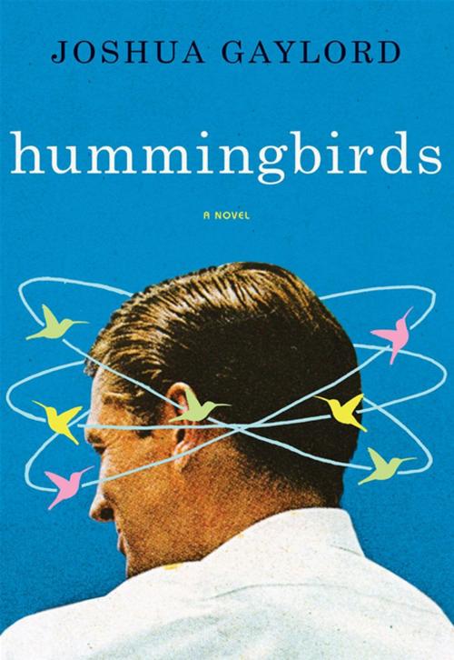 Cover of the book Hummingbirds by Joshua Gaylord, HarperCollins e-books