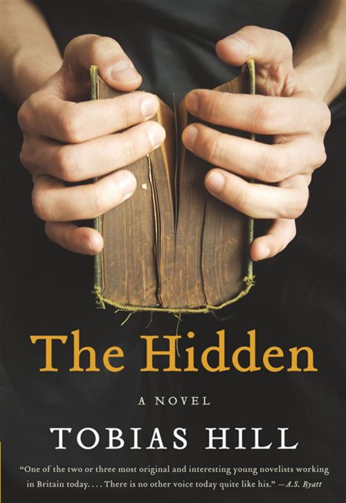 Cover of the book The Hidden by Tobias Hill, HarperCollins e-books