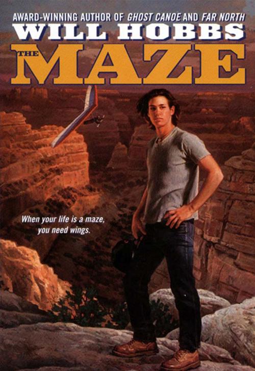 Cover of the book The Maze by Will Hobbs, HarperCollins