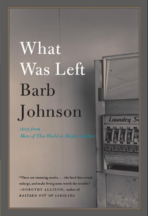 Cover of the book What Was Left by Barb Johnson, HarperCollins e-books