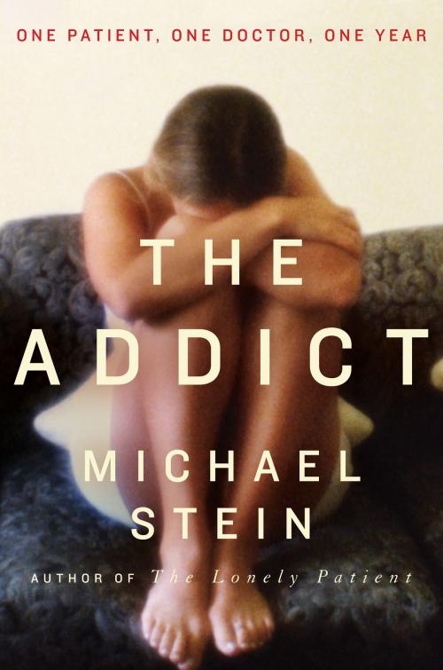 Cover of the book The Addict by Michael Stein, HarperCollins e-books