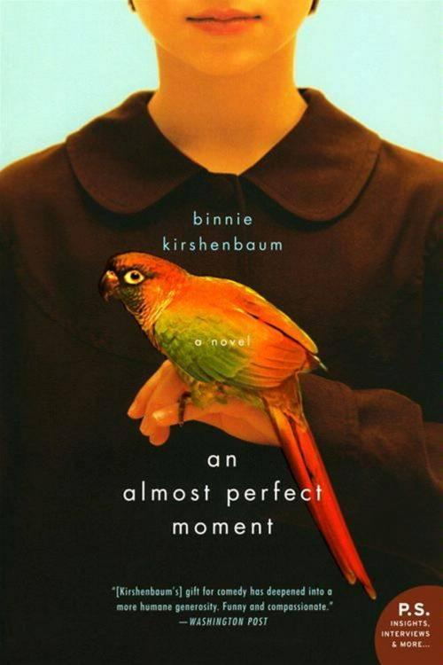 Cover of the book An Almost Perfect Moment by Binnie Kirshenbaum, HarperCollins e-books