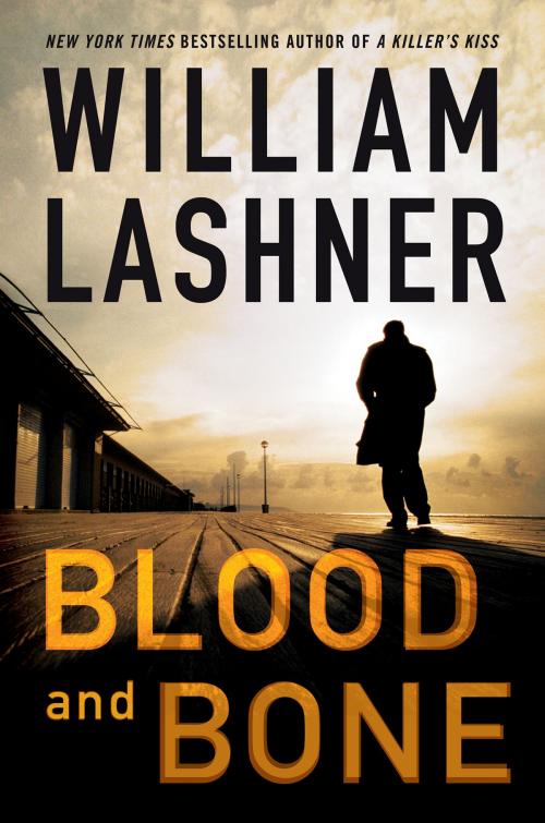 Cover of the book Blood and Bone by William Lashner, HarperCollins e-books