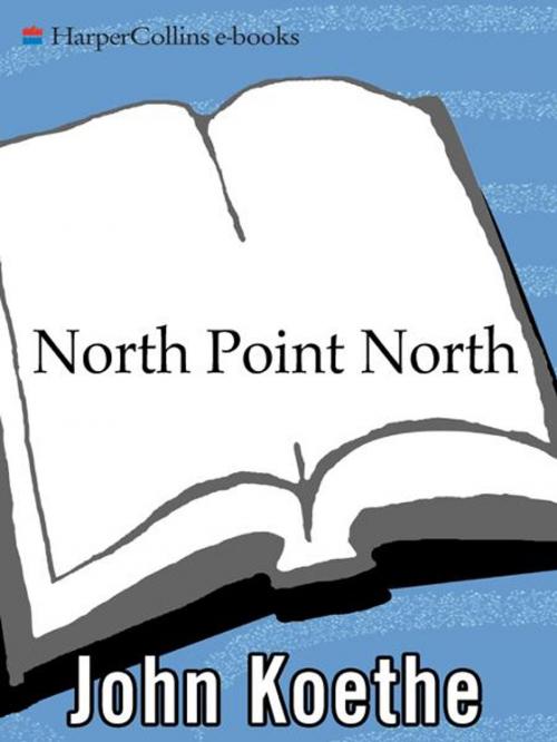 Cover of the book North Point North by John Koethe, HarperCollins e-books