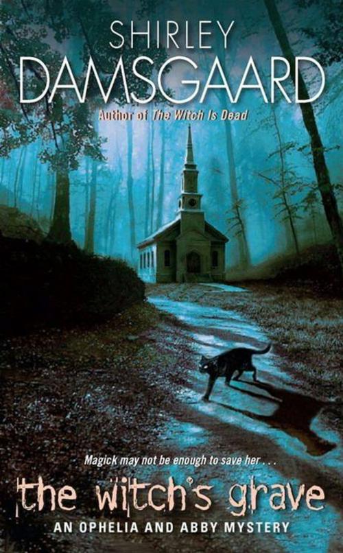 Cover of the book The Witch's Grave by Shirley Damsgaard, HarperCollins e-books
