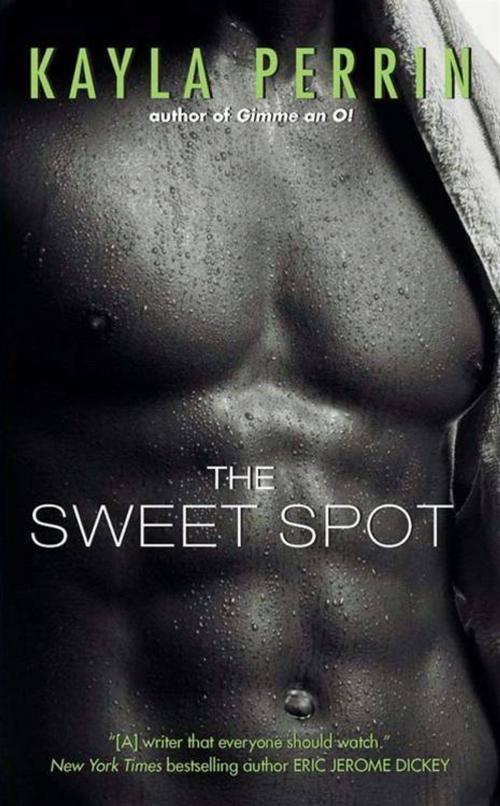 Cover of the book The Sweet Spot by Kayla Perrin, HarperCollins e-books